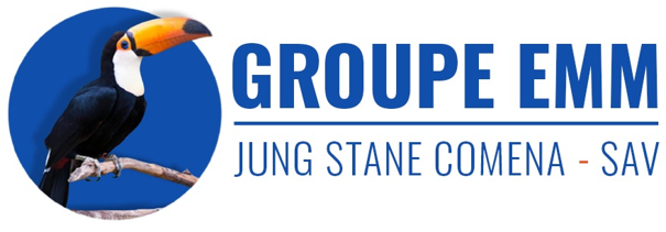 logo Jung