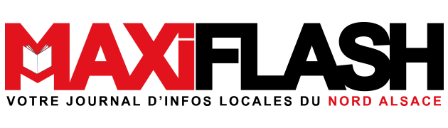 logoMAXI-FLASH-630x180